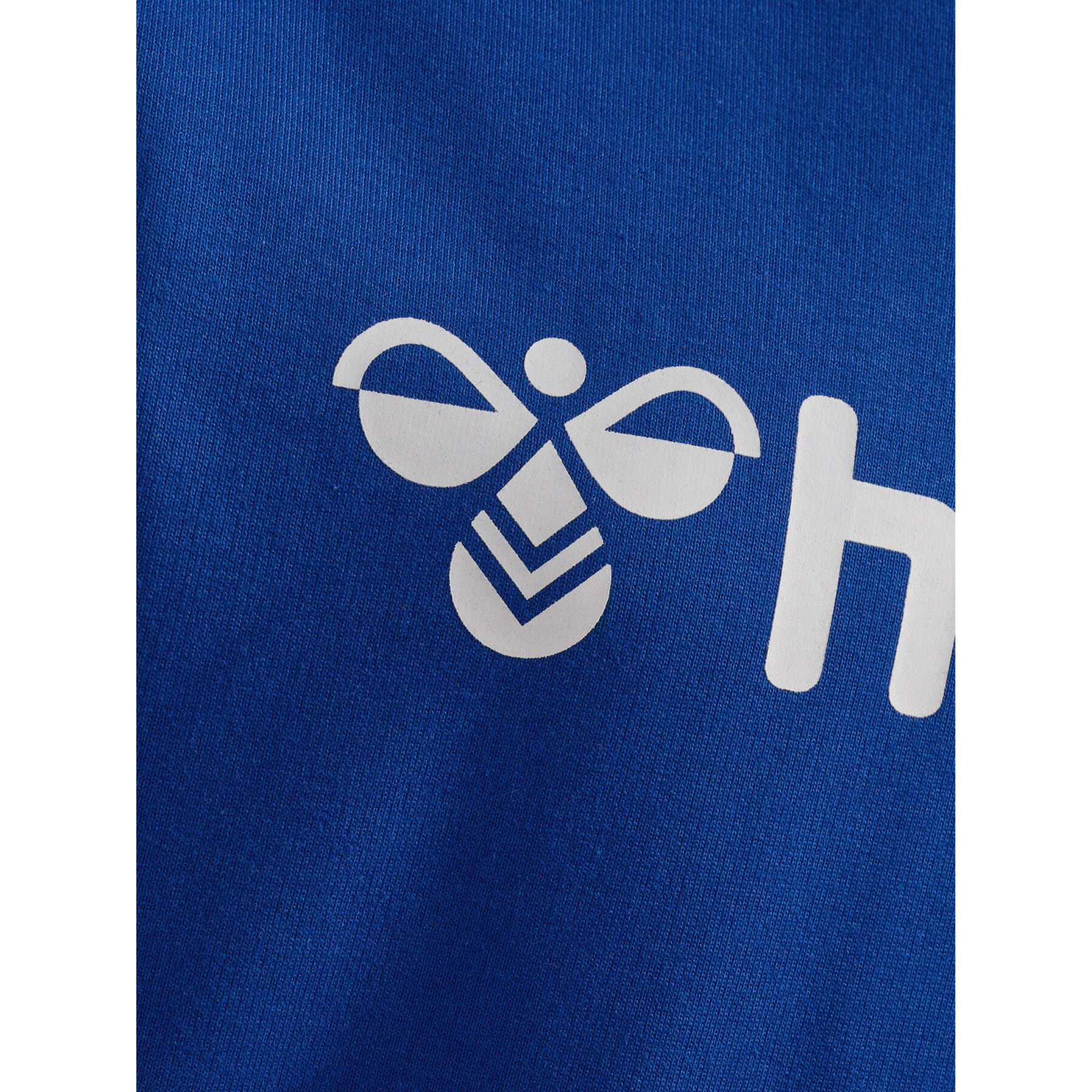 Sudadera con capucha infantil Hummel GO 2.0 Logo
