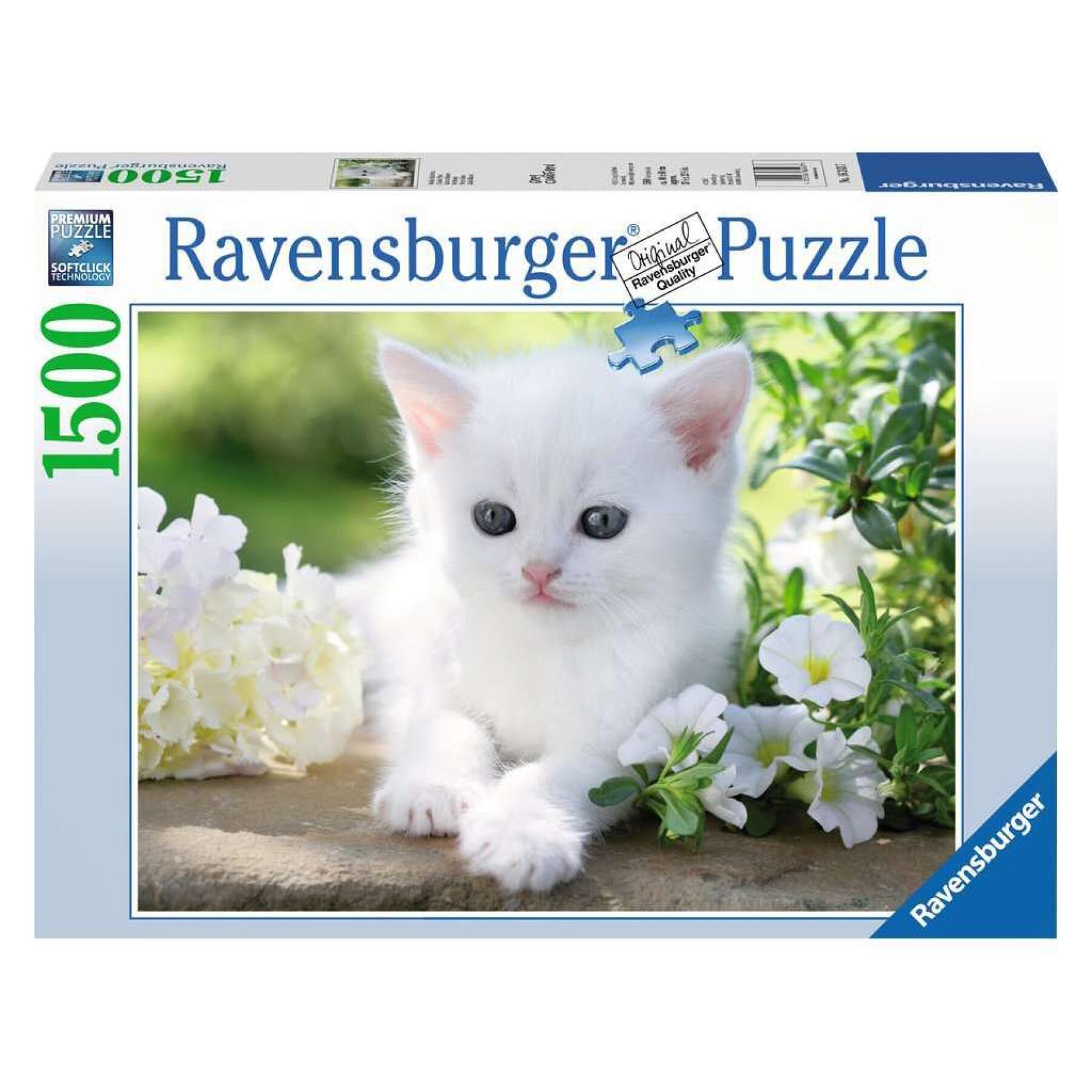 Puzzle 1500 piezas gatito blanco Ravensburger