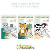 Cuaderno de 24 láminas para colorear de animales de la granja Avenue Mandarine Graffy Maman-Baby
