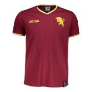 Camiseta infantil Torino Paseo 2023/24